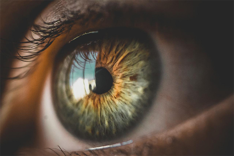 lenti-intraoculari-fachiche Lenti fachiche per correzione miopia senza laser